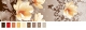 ZAO-90205